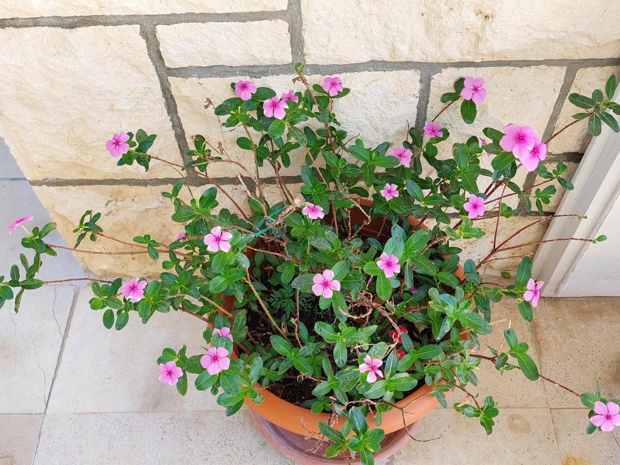 Vila Luka 2 Đảo Hvar Ngoại thất bức ảnh